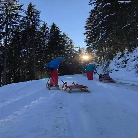 Apartment In Near Fügen